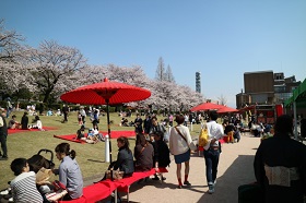 環水公園お花見フェスタ