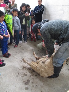 ファームフェア