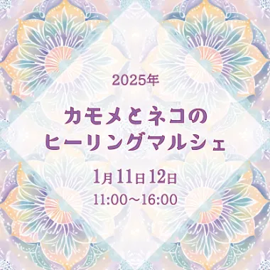 カモメとネコのヒーリングマルシェ