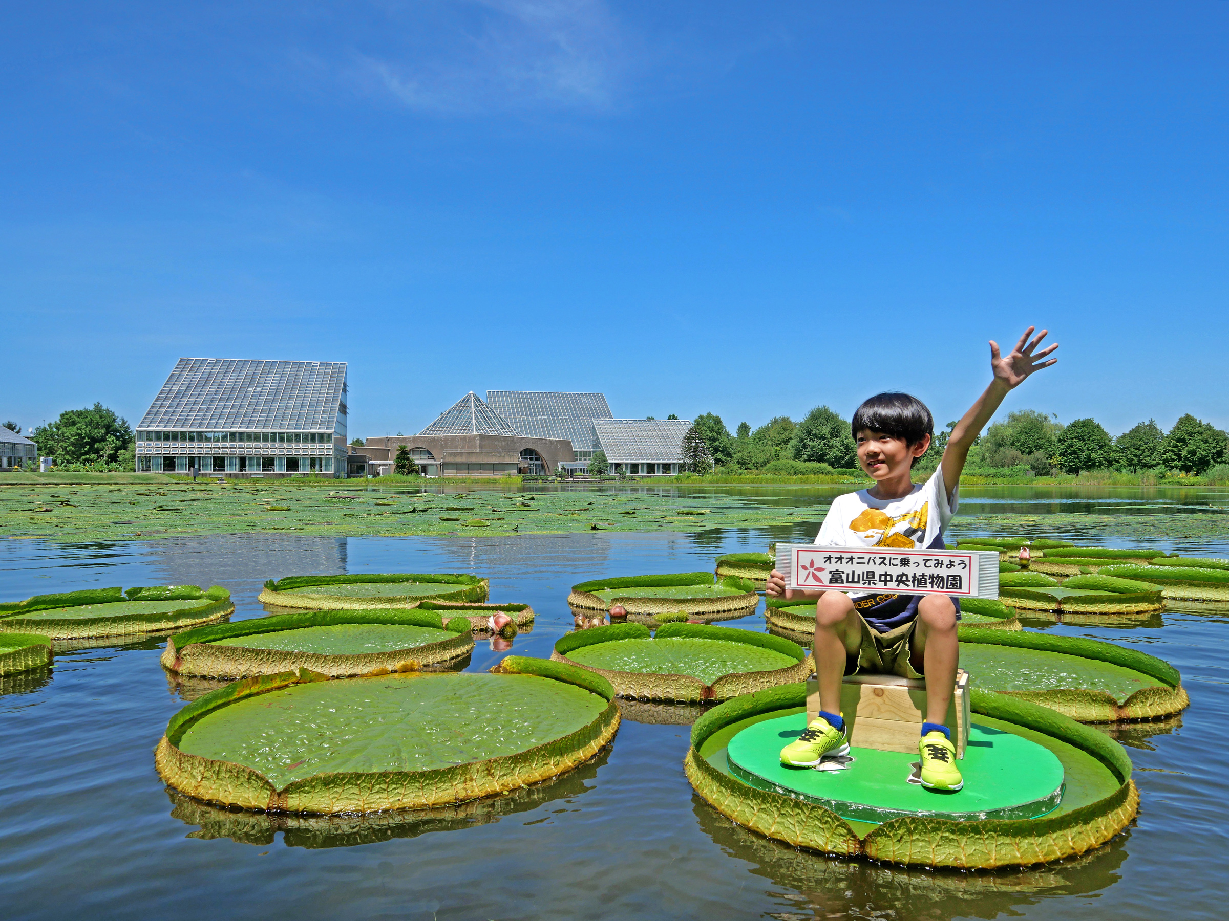 夏休み子ども企画「オオオニバスに乗ってみよう」(2025年)