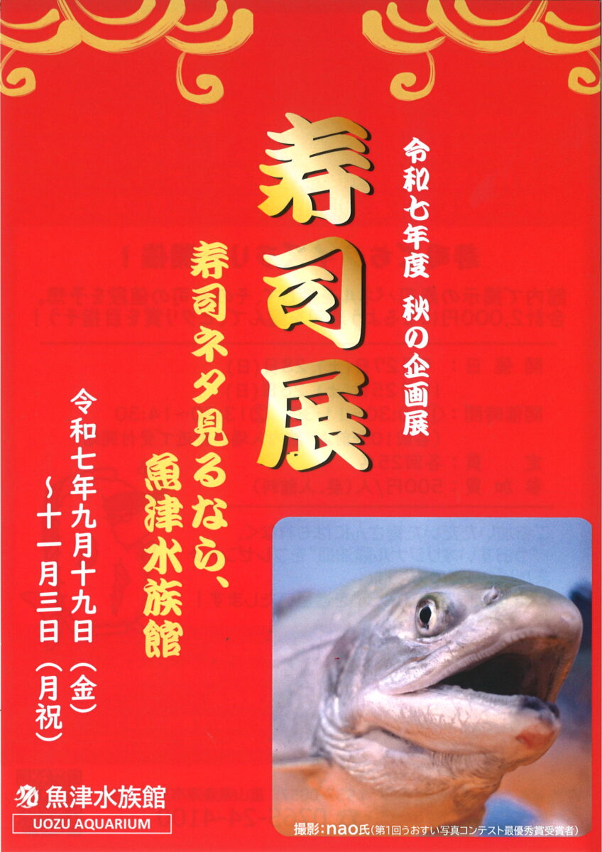 秋の企画展　寿司展