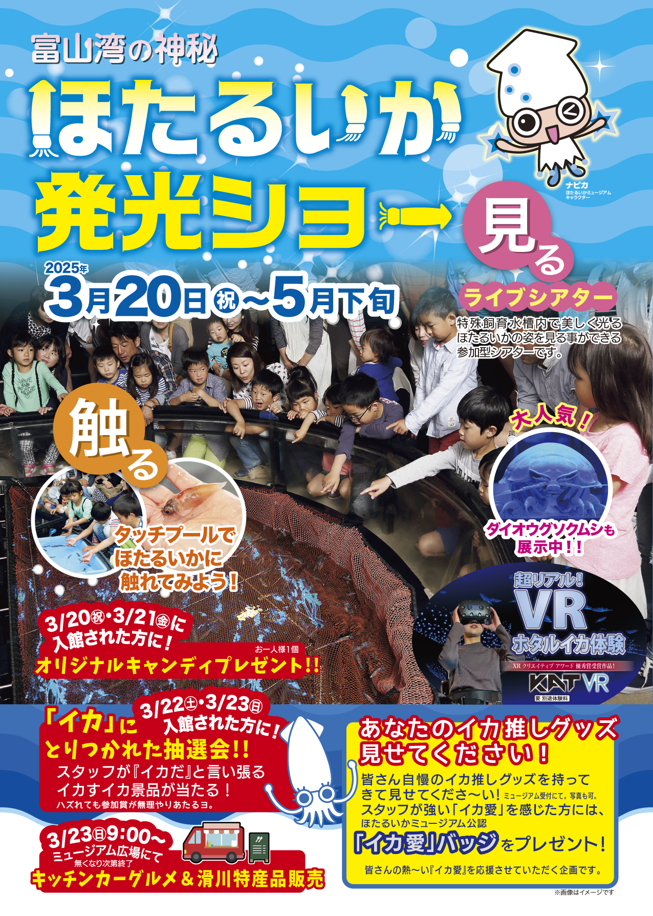 ほたるいか発光ショー