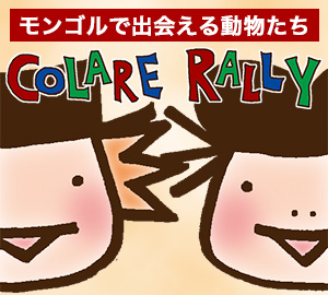 コラーレ・ラリー(カード探しゲーム)「モンゴルで出会える動物たち」