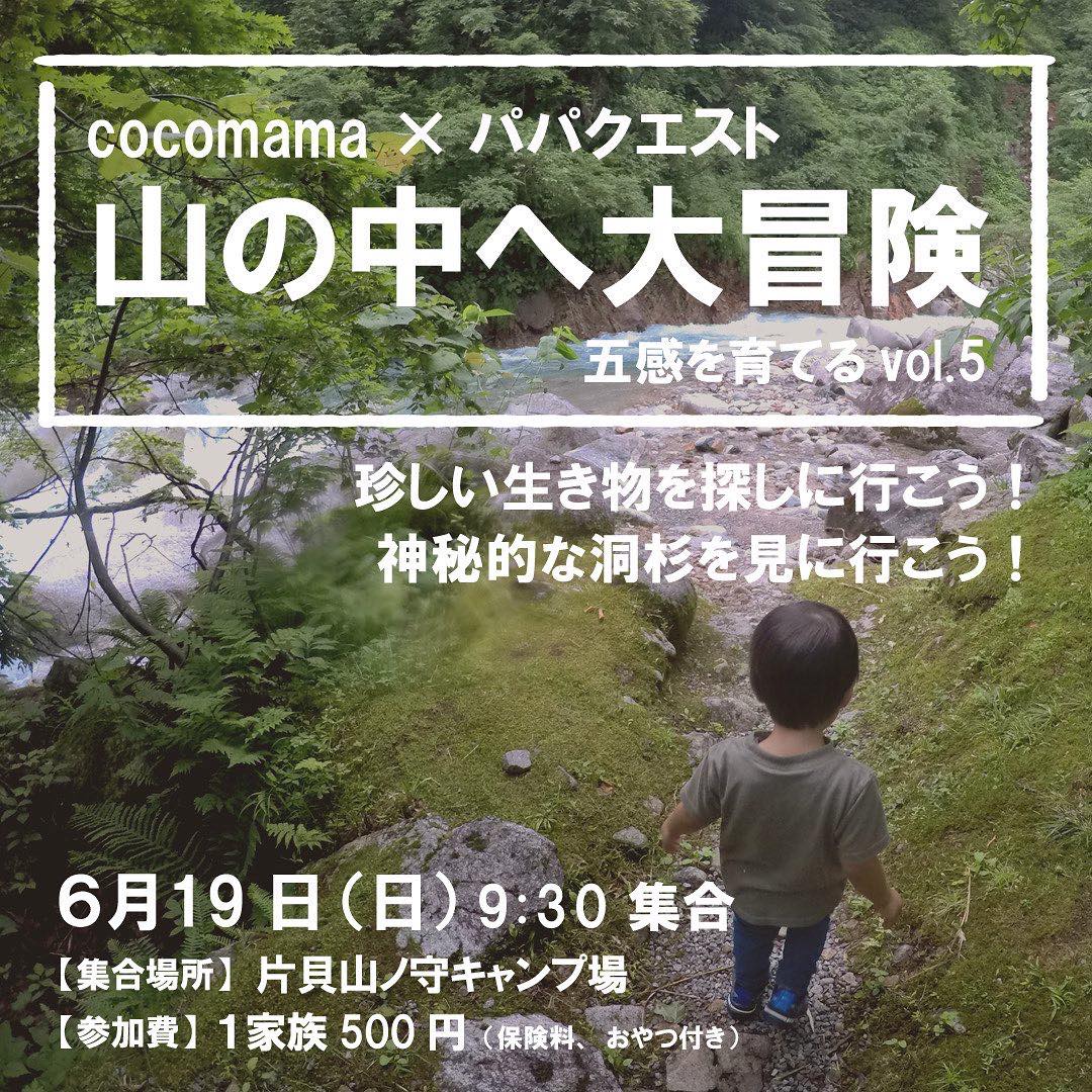 パパクエスト×cocomama 山の中へ大冒険!