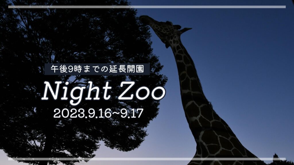 夜間開園「ナイトズー」