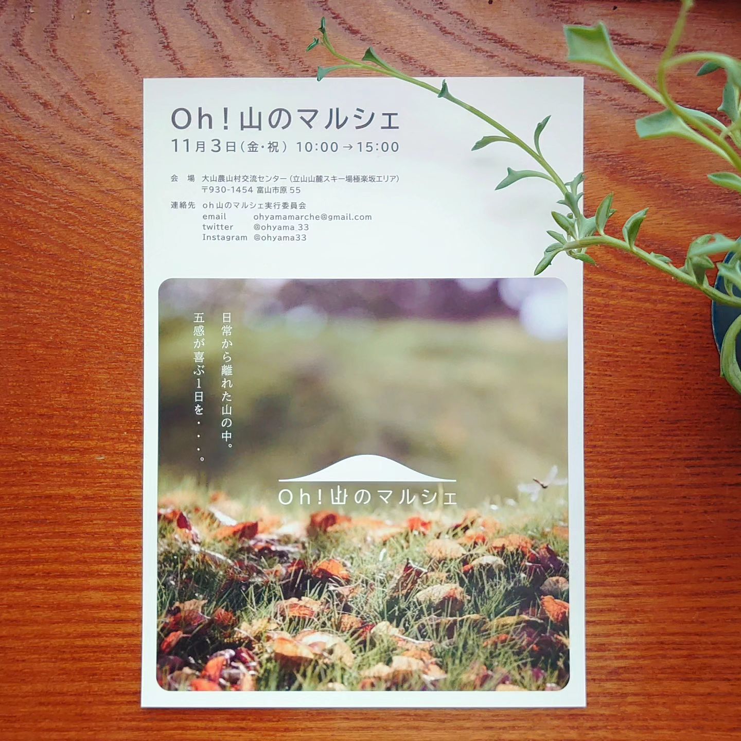 Oh！山のマルシェ vol.3