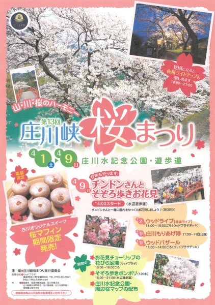 第13回 庄川峡 桜まつり