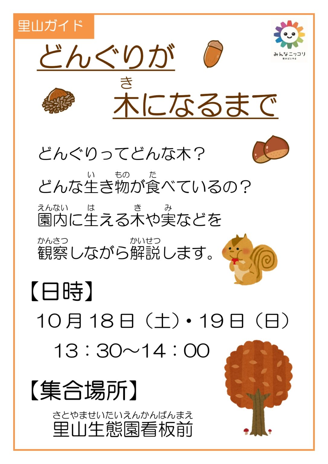 里山ガイド「どんぐりが木になるまで」