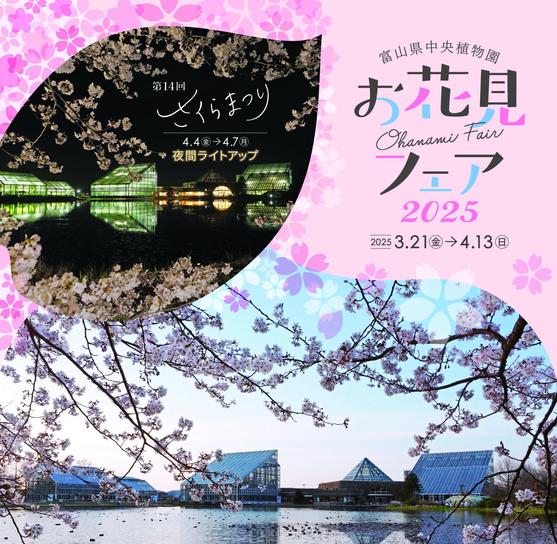 お花見フェア（2025年）