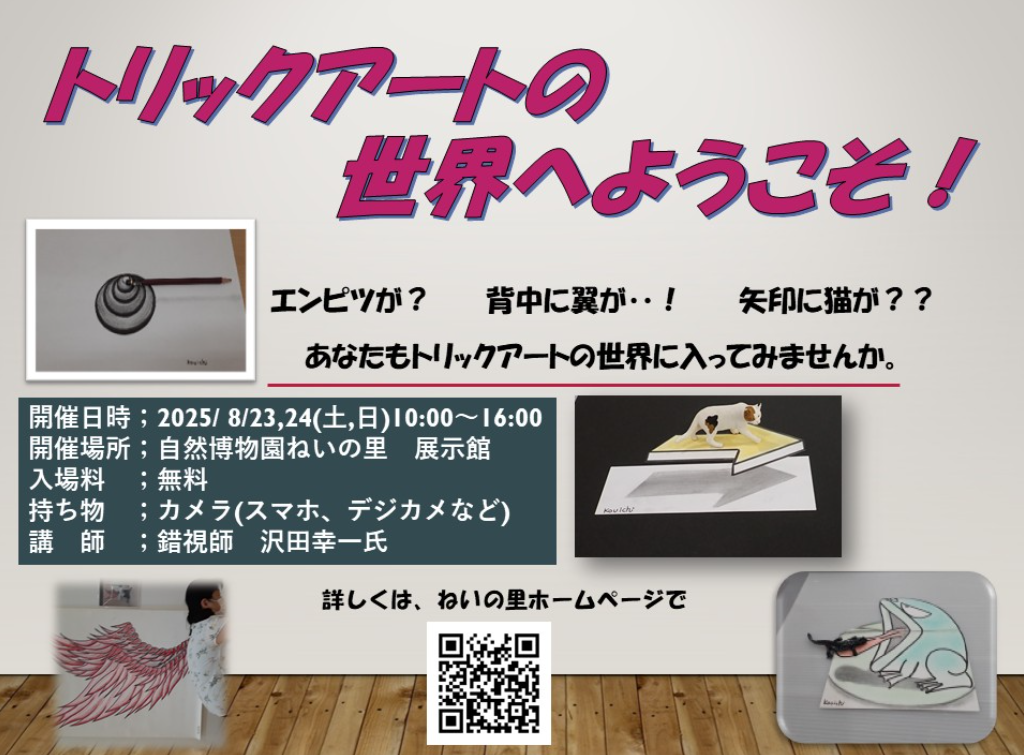 トリックアート展