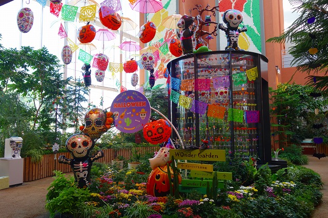 季節展示「秋の庭」