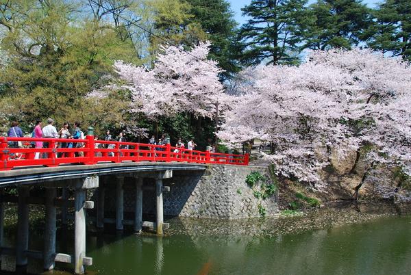 高岡桜まつり