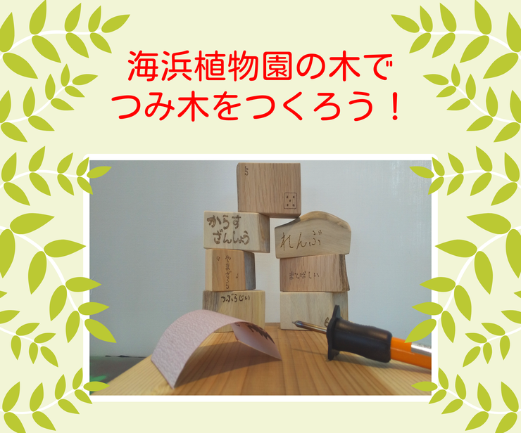 氷見市海浜植物園の木でつみ木をつくろう!