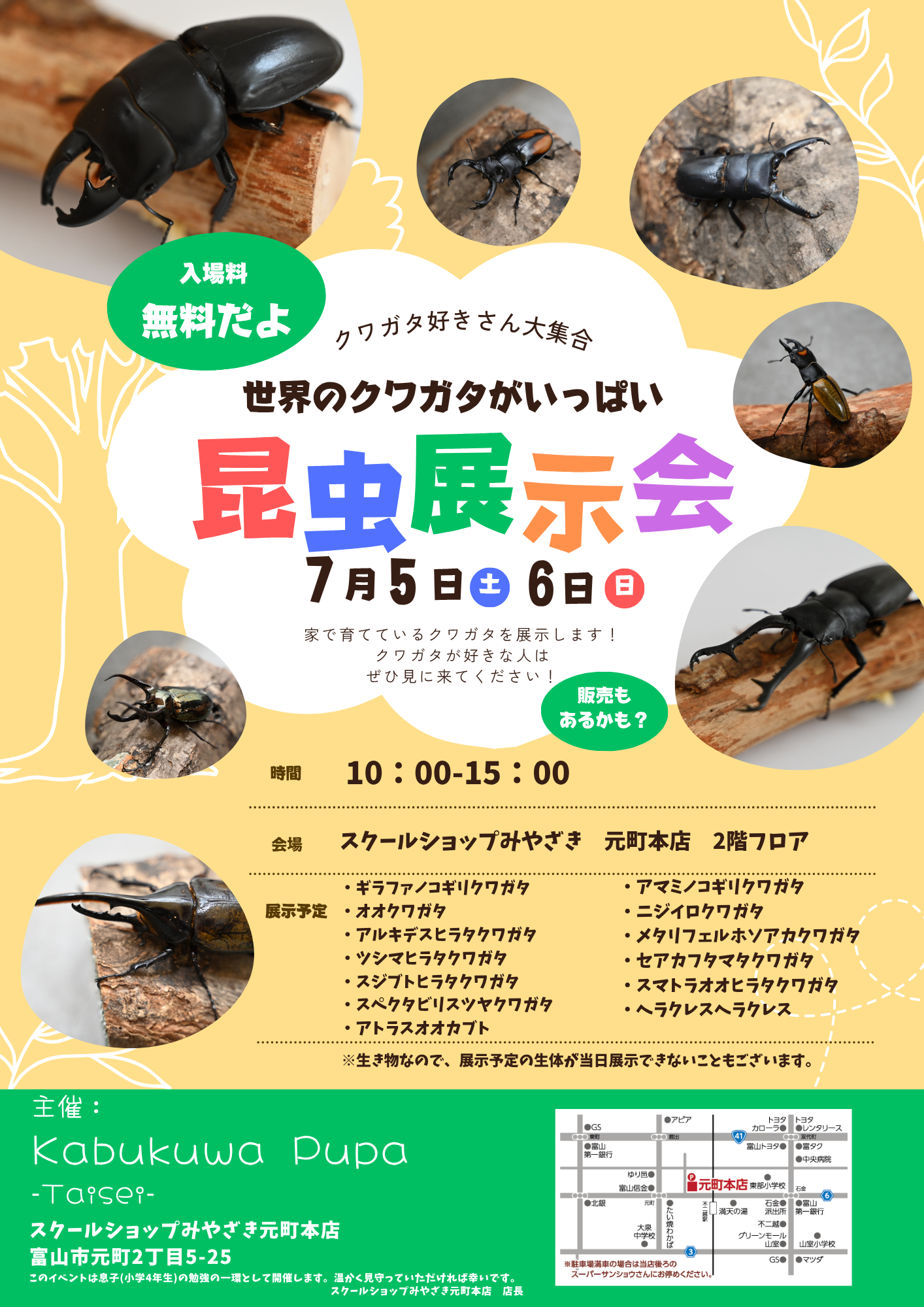 世界のクワガタがいっぱい　昆虫展示会