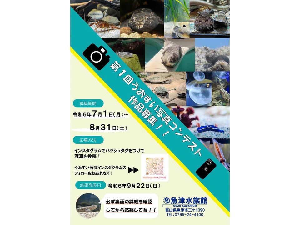 うおすい初開催!「写真コンテスト」