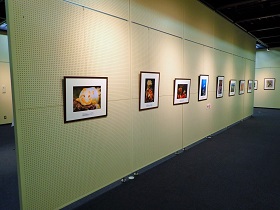 写真展「第40回SSP展 自然を楽しむ科学の眼2019-2020」