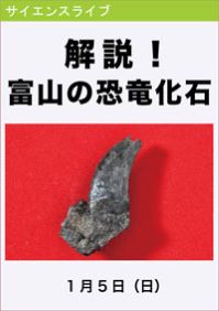 サイエンスライブ「解説!富山の恐竜化石」
