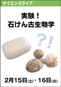 サイエンスライブ「実験!石けん古生物学」