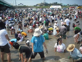 第33回黒部川きときと魚手づかみ捕り大会