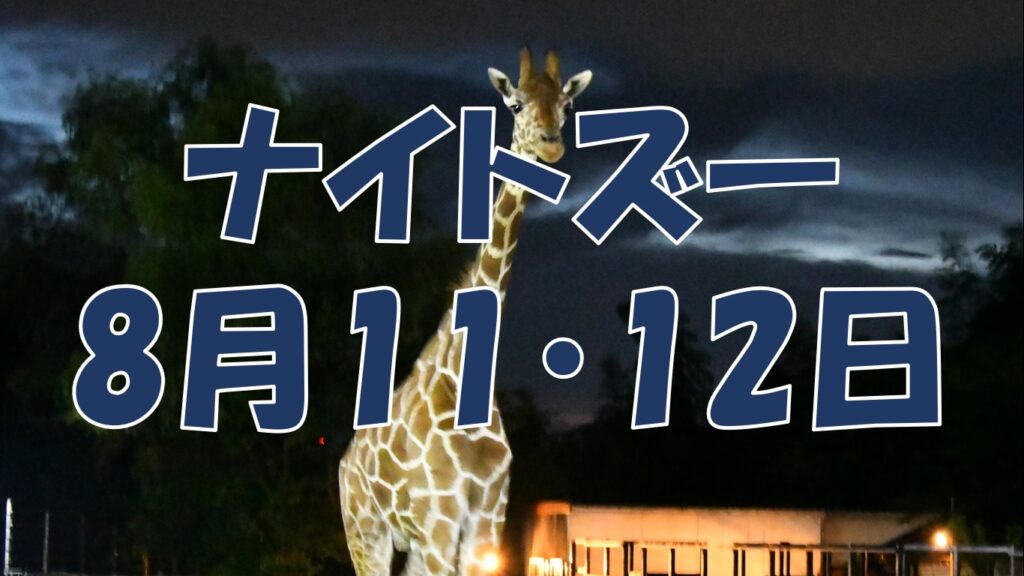 夜間開園「ナイトズー」