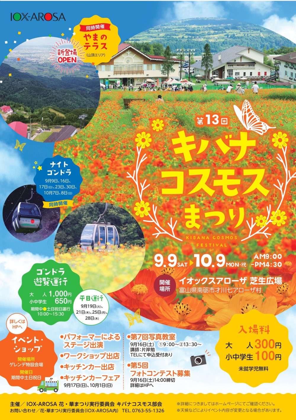 キバナコスモスまつり2023