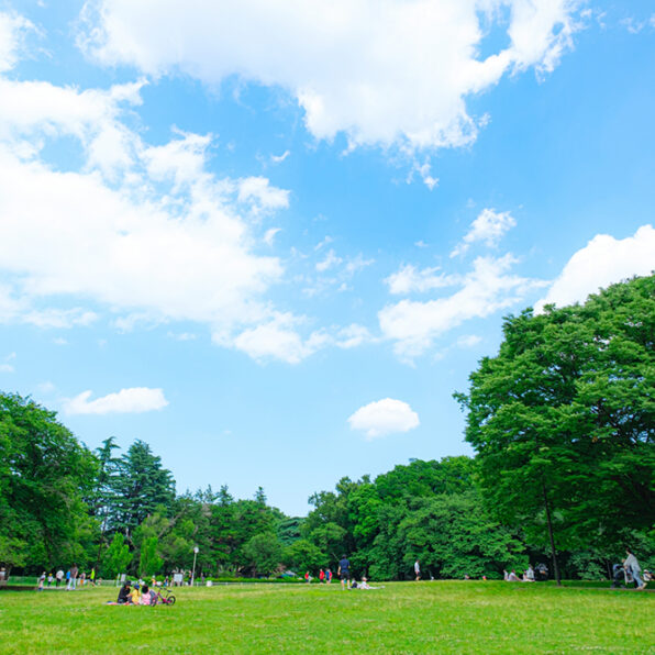 はっぴーママサポーター厳選☆駐車場のある公園