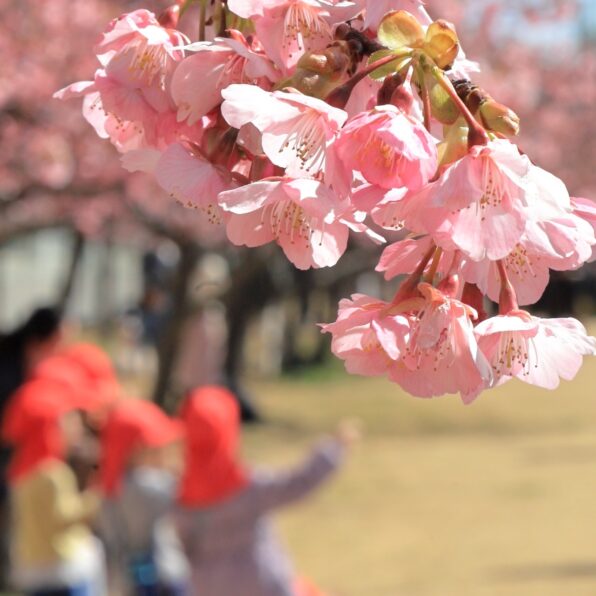 園の“保護者会”って何？ 大変なの？ ギモンにお答えします！