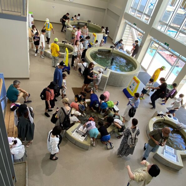 富山県栽培漁業センターが 5月より土日祝日も開館