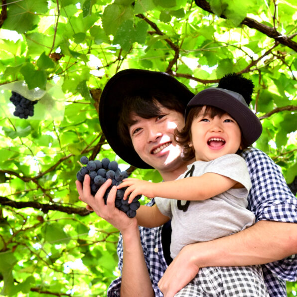 果物狩りの季節！ 準備物・ポイントは？