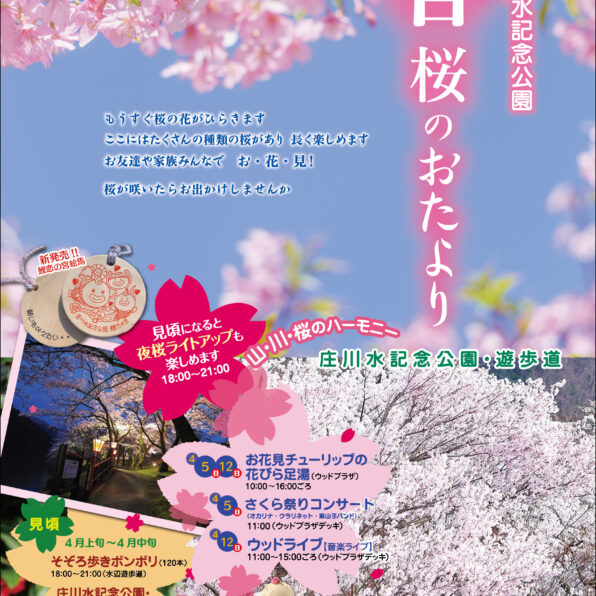 庄川水記念公園 春 桜のおたより
