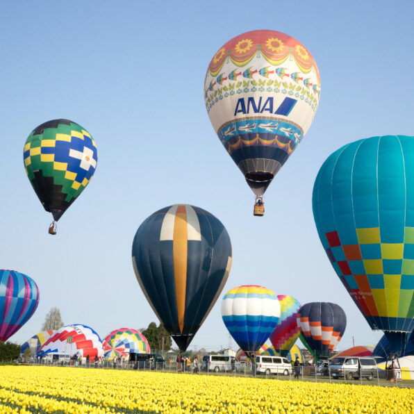 チューリップバルーン