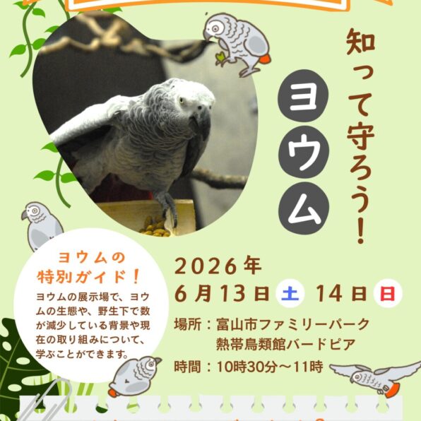 オウムインコデーイベント