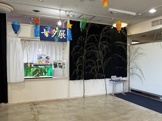 七夕展「うおすいで夢叶えちゃおう！2026」
