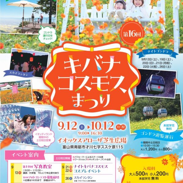 キバナコスモスまつり