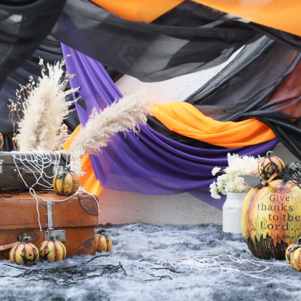 シャレニーハロウィン撮影会♪